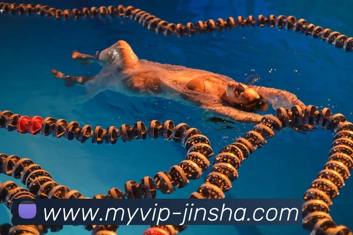 金沙娱乐平台生态图